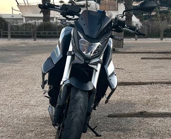 Hornet 750