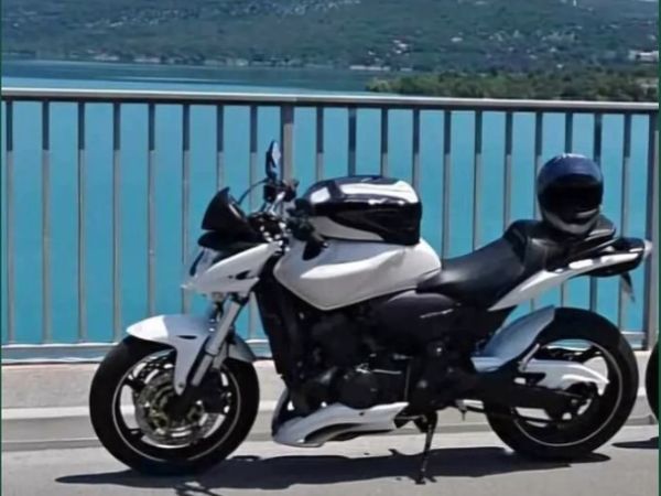 Honda hornet