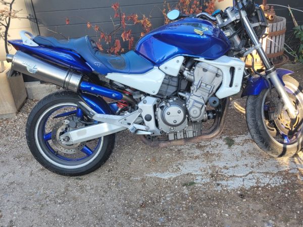 Hornet 900