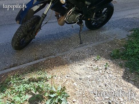 Vends derbi senda 50 cm3