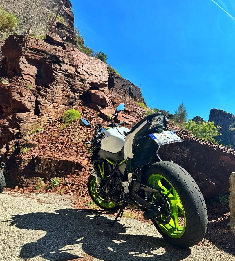 Z650 2021 a2