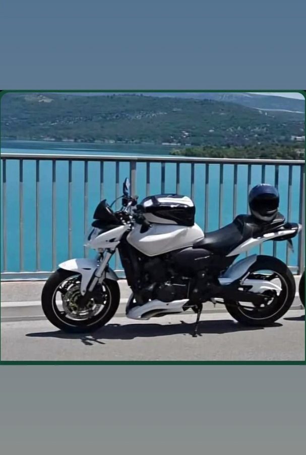 Honda hornet