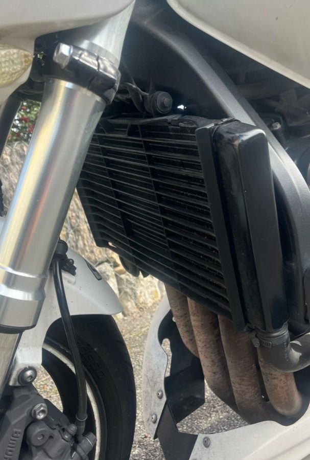 Honda hornet
