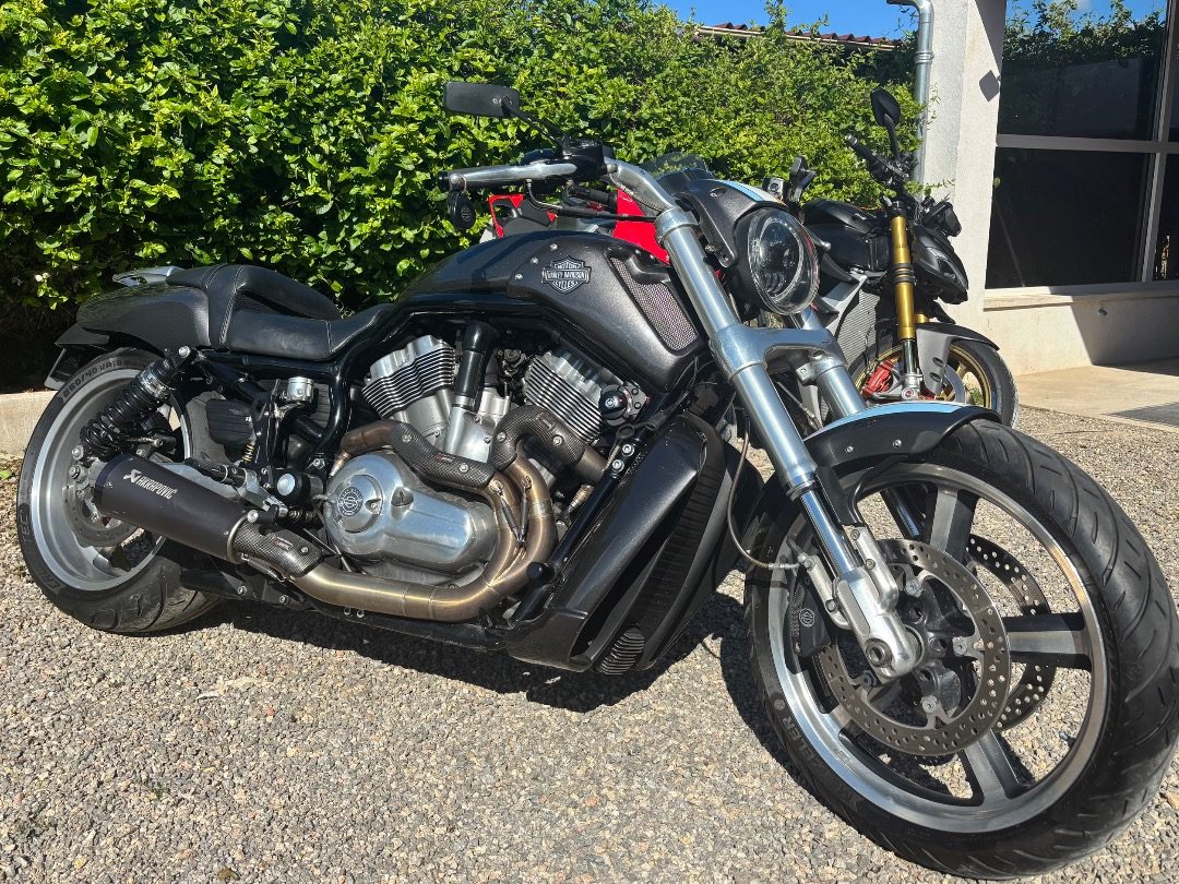 Harley davidson vrod 1250