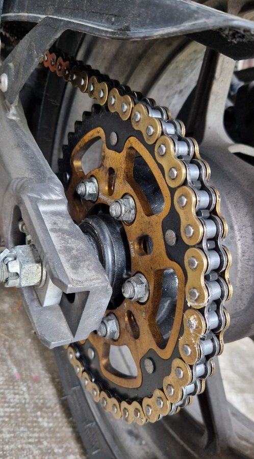 1000 versys