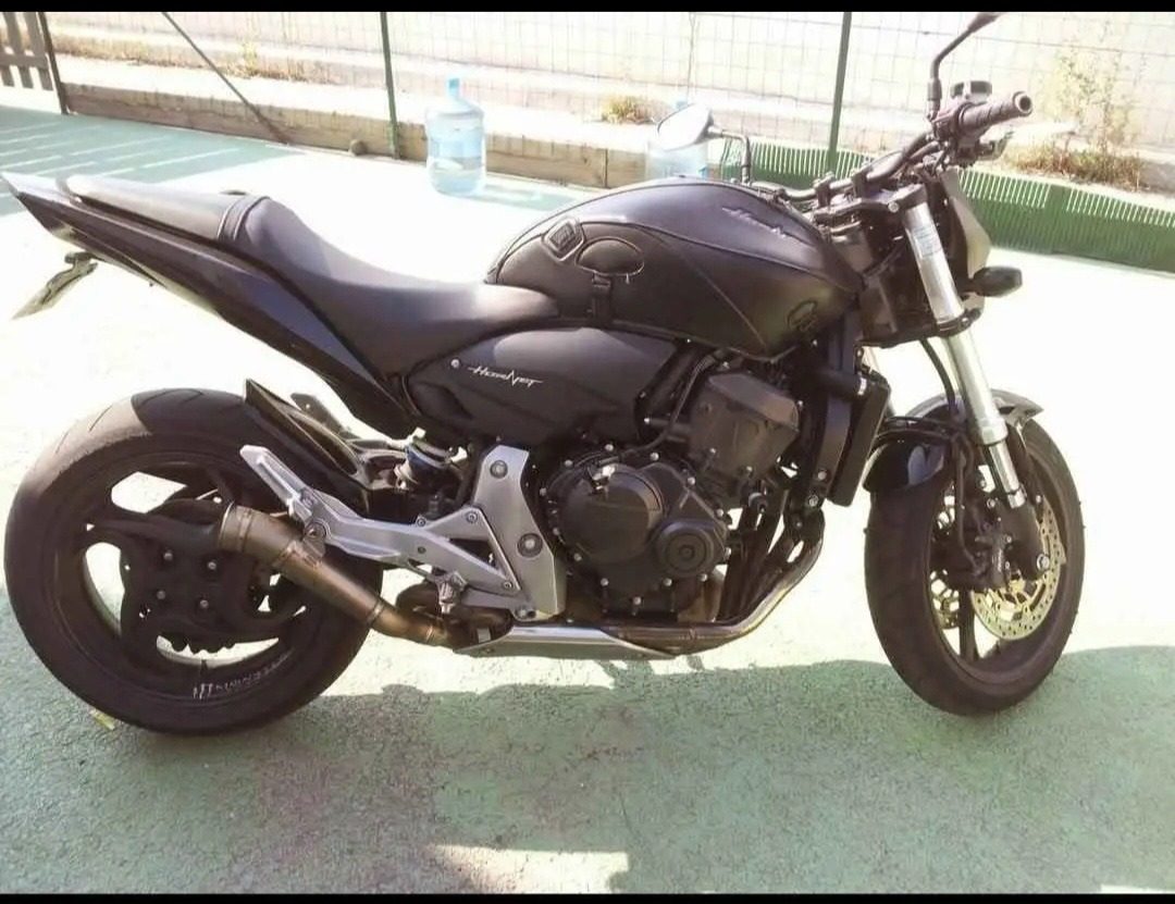 600 hornet