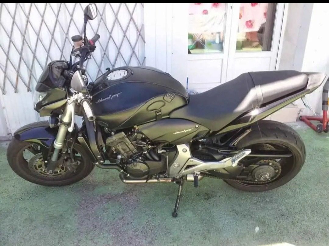 600 hornet