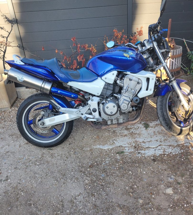 Hornet 900