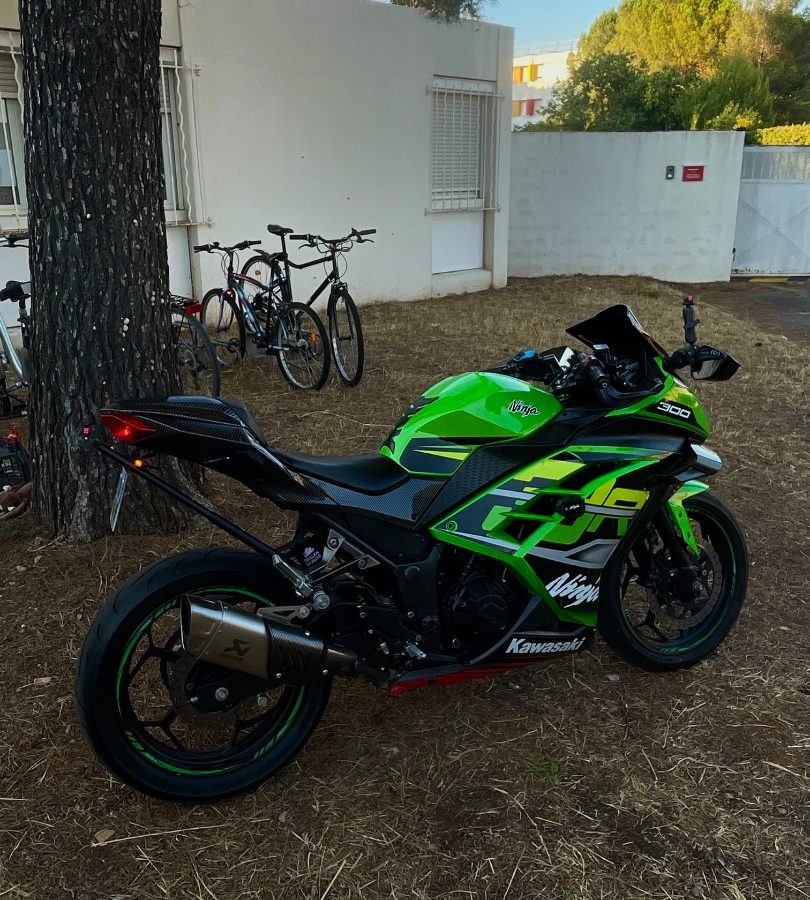Ninja 300