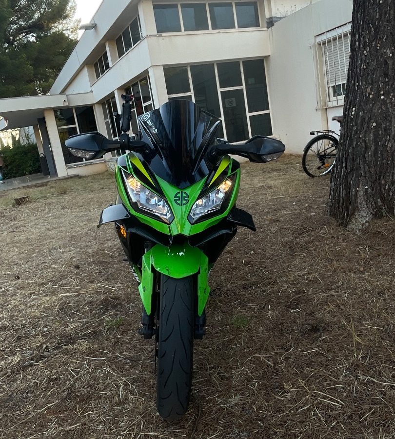 Ninja 300