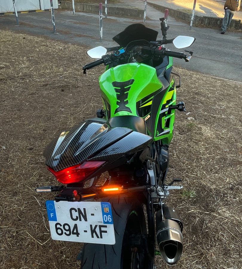 Ninja 300