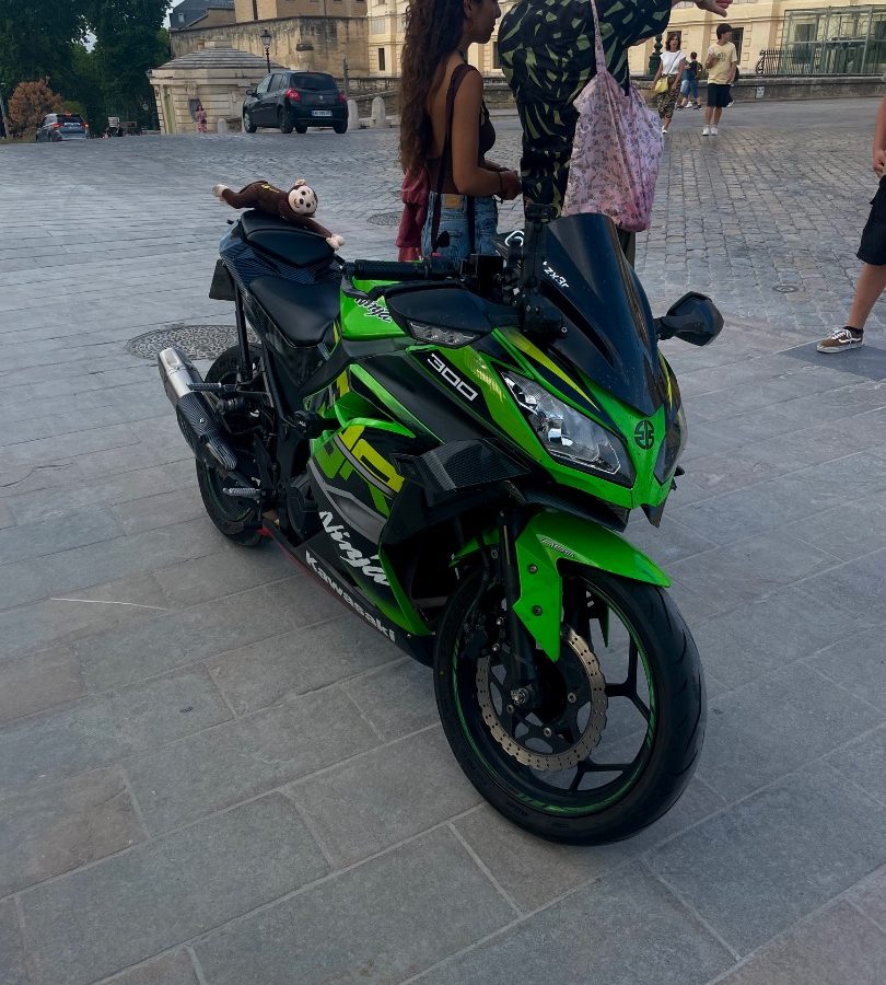 Ninja 300