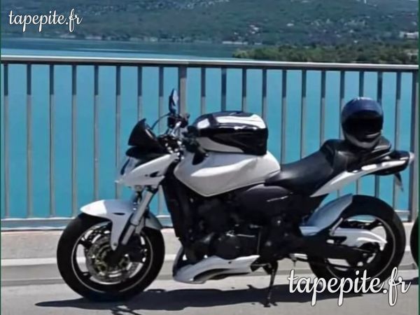 Honda hornet