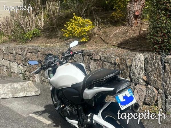 Honda cb600f hornet