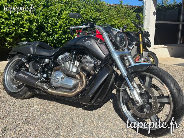 Harley davidson vrod 1250