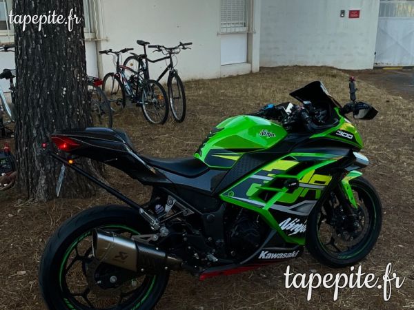 Ninja 300